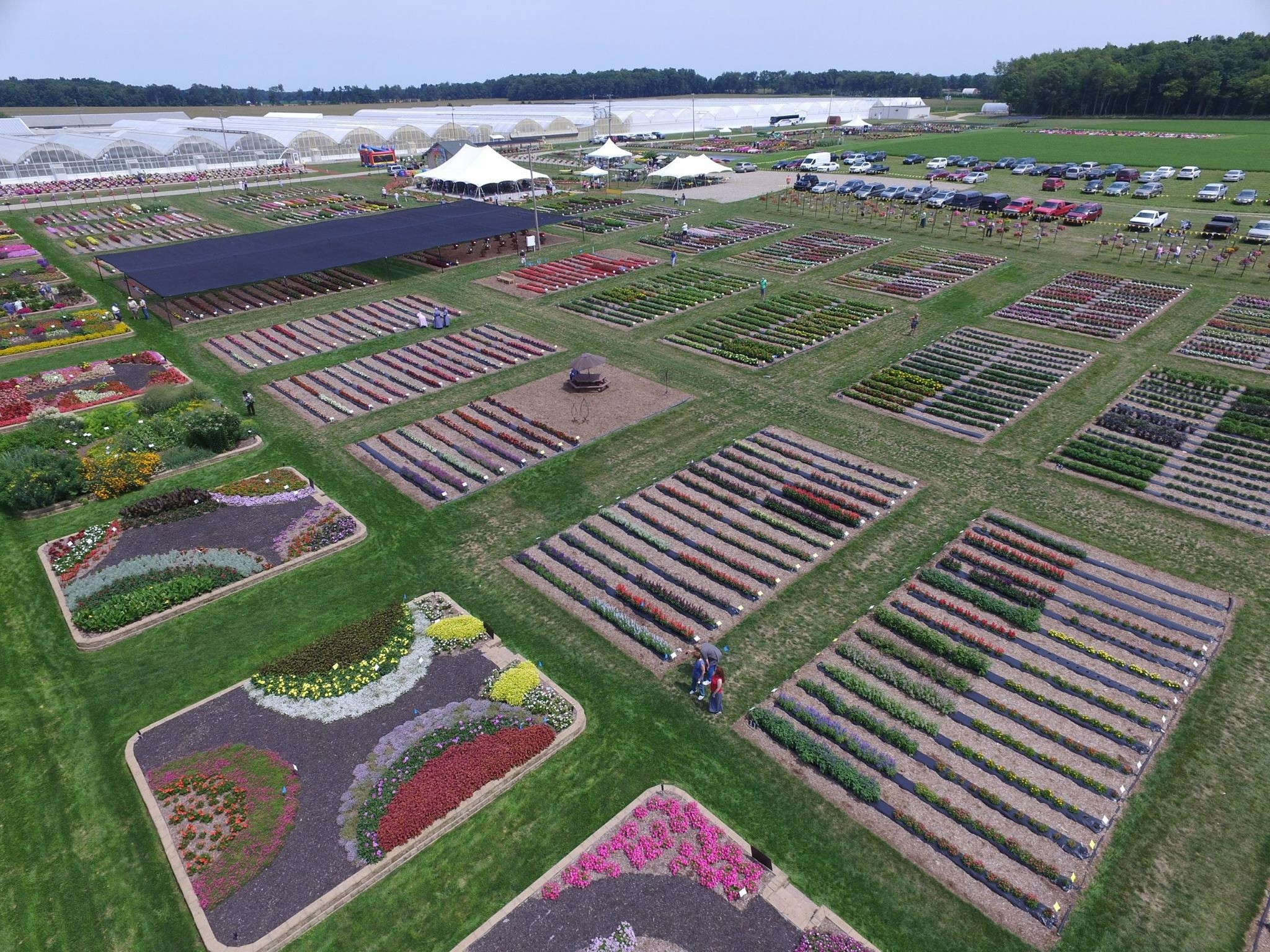 Rakers-Roberta's-Greenhouses